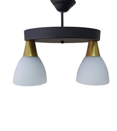 RİOLİGHT MODERN SİYAH İKİLİ OPAL CAMLI SARKIT ÇAP:30 CM