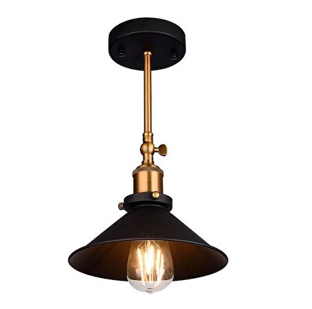 RİOLİGHT RETROESKİTME MAFSALLI HAREKETLİ BAŞLIK PLOFONYER AVİZE ŞAPKA ÇAPI:22CM