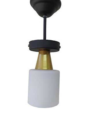 RİOLİGHT RETRO RUSTİK OPAL CAMLI TEKLİ SARKIT AVİZE
