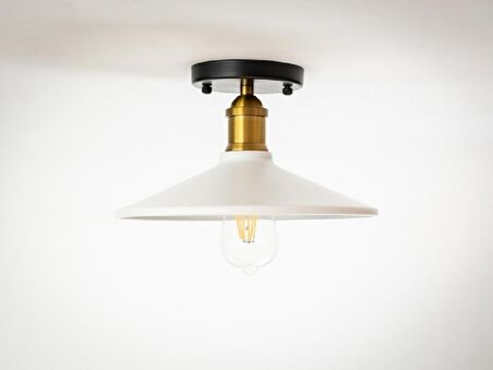 RİOLİGHT RETRO16,RUSTİK MUTFAK,ODA,KOLİDOR İÇİN TEKLİ METAL SARKIT PLOFONYER AVİZE ÇAP:28CM