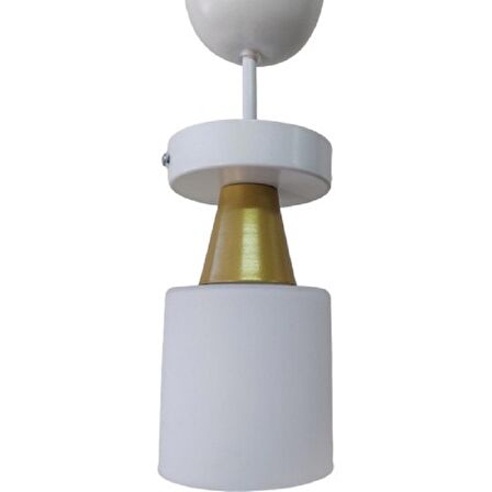 RİOLİGHT RETRO,RUSTİK1 OPAL CAMLI TEKLİ METAL SARKIT AVİZE