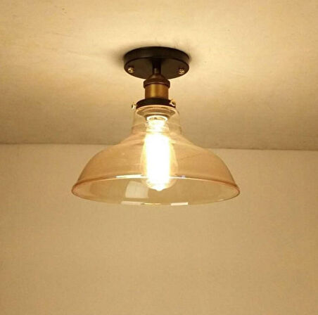 RİOLİGHT RETRO1,VİNTAGE1,RUSTİK 1XE27 DUYLU BAL CAMLI PLOFONYER TEKLİ AVİZE ÇAP:20CM