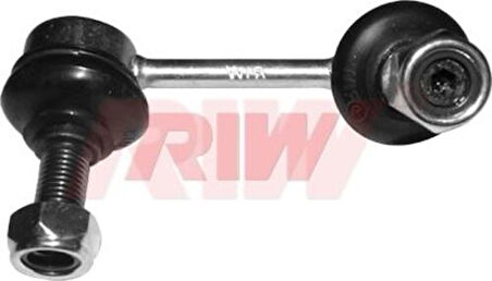 RIW PE4013 Z Rotu Arka Sağ P605 94-99-P607 00 L 86mm 5178.21