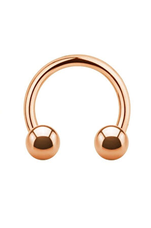 316 Cerrahi Çelik Dudak Kıkırdak Septum Helix Tragus Piercingi