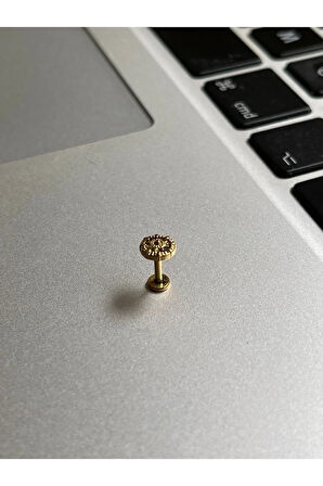 316 Cerrahi Çelik Tragus Helix Kıkırdak Conch Minimal Otantik Deaen Piercing