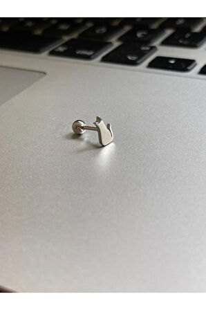Cerrahi Çelik Tragus Helix Kıkırdak Conch Minimal Kedili Piercing
