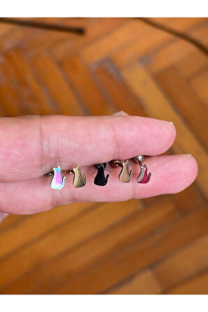 Cerrahi Çelik Tragus Helix Kıkırdak Conch Minimal Kedili Piercing