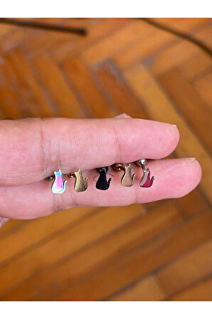 Cerrahi Çelik Tragus Helix Kıkırdak Conch Minimal Kedili Piercing