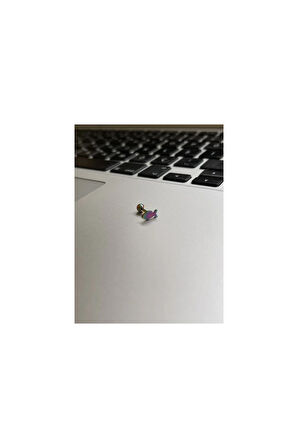 Cerrahi Çelik Tragus Helix Kıkırdak Conch Minimal Balık Piercing