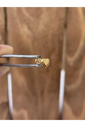 316 L Cerrahi Çelik Tragus Helix Kıkırdak Conch Minimal Kalp Piercing