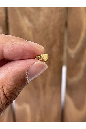 316 L Cerrahi Çelik Tragus Helix Kıkırdak Conch Minimal Kalp Piercing