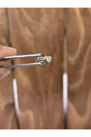 316 L Cerrahi Çelik Tragus Helix Kıkırdak Conch Minimal Kalp Piercing