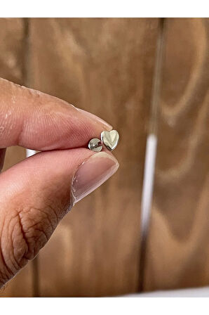 316 L Cerrahi Çelik Tragus Helix Kıkırdak Conch Minimal Kalp Piercing