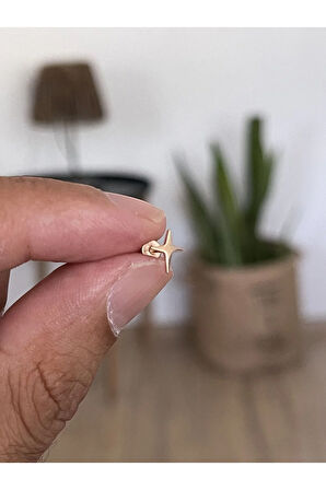 316 L Cerrahi Çelik Tragus Helix Kıkırdak Conch Minimal Kutup Yıldızı Piercing