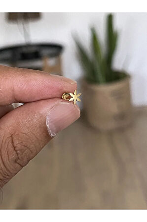 316 L Cerrahi Çelik Tragus Helix Kıkırdak Conch Minimal Yıldız Piercing
