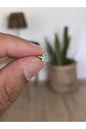 Şık Cerrahi Çelik Dudak Tragus Helix Kıkırdak Conch Minimal Yıldız Piercing