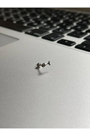 316 L Cerrahi Çelik Dudak Kıkırdak Helix Tragus Piercingi Balık Detaylı Piercing