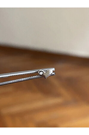 316 L Cerrahi Çelik Dudak Kıkırdak Helix Tragus Piercingi Kalp Detaylı Piercing