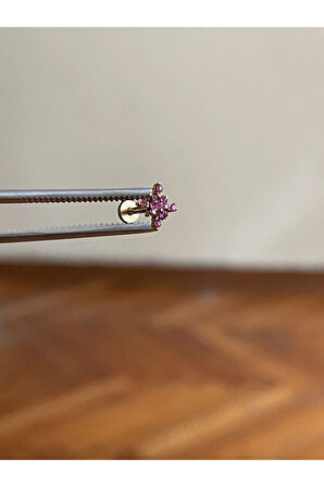 316 L Cerrahi Çelik Dudak Piercing Kıkırdak Helix Tragus Conch Piercingi Yıldız Piercing