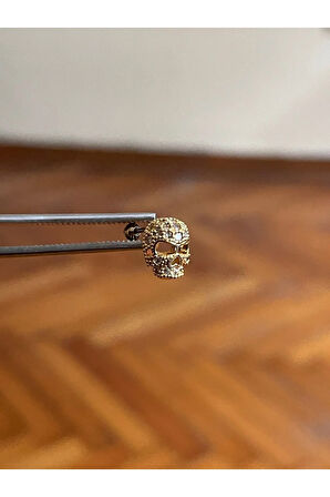 316 L Cerrahi Çelik Dudak Piercing Kıkırdak Helix Tragus Conch Zirkon Taşlı Kuru Kafa Piercing