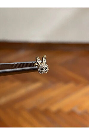 316 L Cerrahi Çelik Dudak Piercing Kıkırdak Helix Tragus Conch Zirkon Taşlı Figürlü Piercing