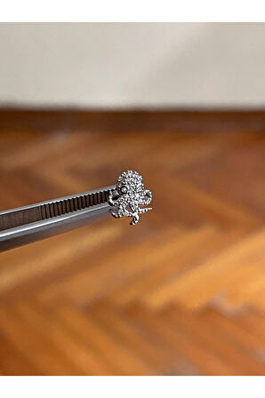 316 L Cerrahi Çelik Dudak Piercing Kıkırdak Helix Tragus Conch Zirkon Taşlı Figürlü Piercing