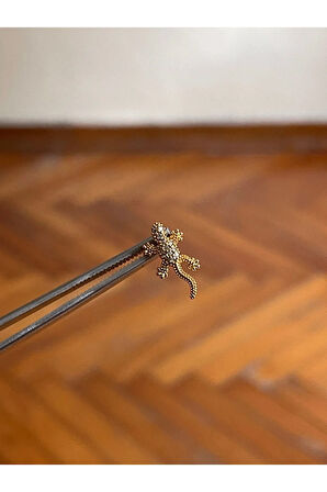 316 L Cerrahi Çelik Dudak Piercing Kıkırdak Helix Tragus Conch Zirkon Taşlı Figürlü Piercing