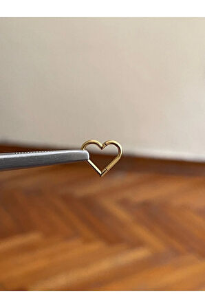 316 L Cerrahi Çelik Kalp Detaylı Halka Kıkırdak Helix Tragus Piercingi
