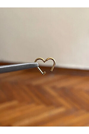 316 L Cerrahi Çelik Kalp Detaylı Halka Kıkırdak Helix Tragus Piercingi