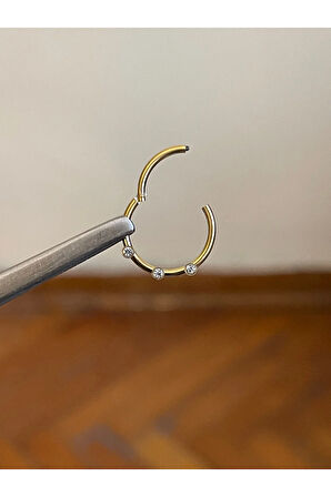 316 L Cerrahi Çelik Atom Taşlı Kıkırdak Piercingi Rook Orbital Helix Septum Piercing