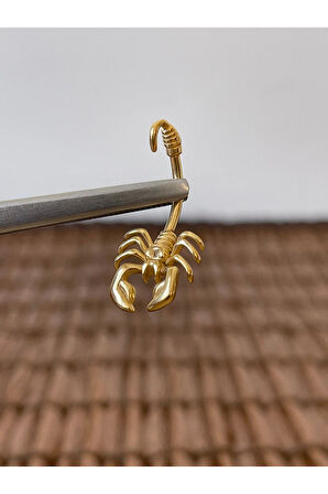 316 L Cerrahi Çelik Anti Alerjik 10 mm Akrep Model Göbek Piercingi Akrep Piercing