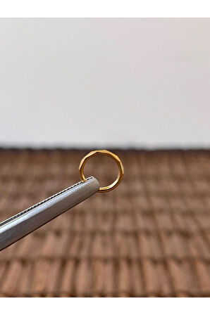 316 L Cerrahi Çelik Anti Alerjik Kesme Baklava 8 mm x 1.2mm Altın Kilitli Halka Piercing