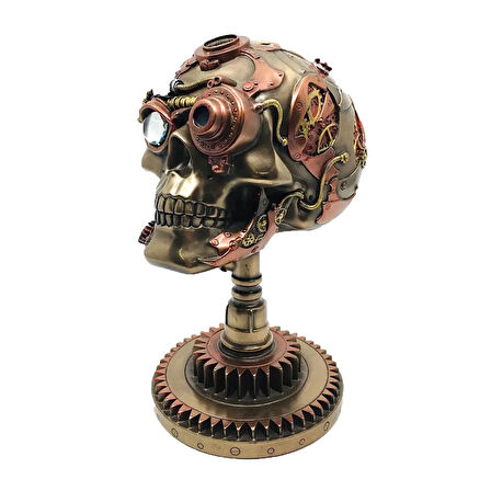 Steampunk Serisi Kuru Kafa Biblo