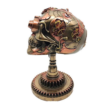 Steampunk Serisi Kuru Kafa Biblo