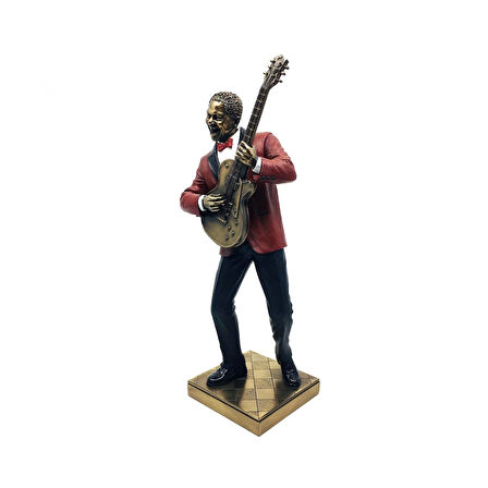 Wise Caz Serisi / Gitarist