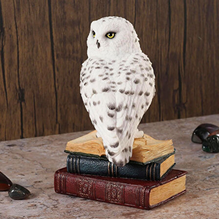 Kitap Üzerinde Beyaz Kar Baykuşu Hedwig Biblosu - Harry Potter