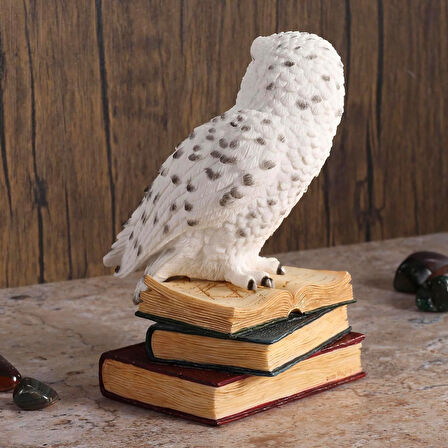 Kitap Üzerinde Beyaz Kar Baykuşu Hedwig Biblosu - Harry Potter
