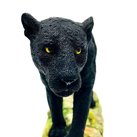 Dekoratif Siyah Panter Biblosu