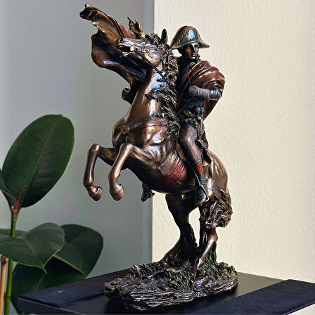 At Üstünde Napoleon Bonaparte Biblo
