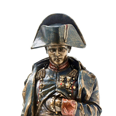 Napoleon Bonaparte Biblo