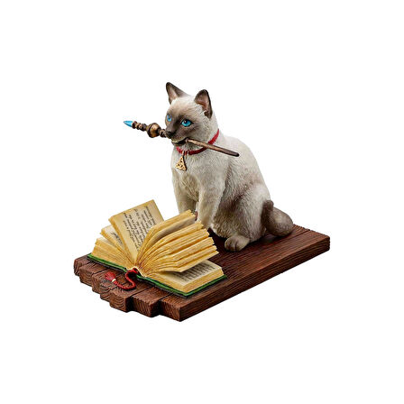 Sihirbaz Kedi Biblo / Hocus Pocus by Lisa Parker