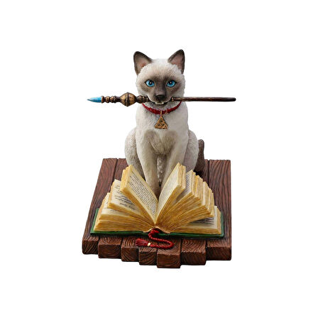 Sihirbaz Kedi Biblo / Hocus Pocus by Lisa Parker