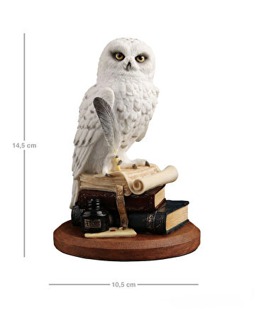 Kitap Üzerinde Beyaz Kar Baykuşu Hedwig Biblosu