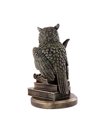 Kitap Üzerinde Baykuş Biblosu 