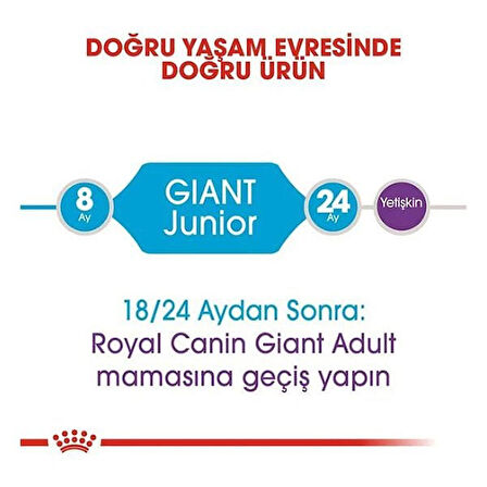 Royal Canin Giant Junior Dev Irk Yavru Köpek Maması 15 Kg