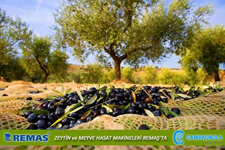 Campagnola Holly Zeytin ve Meyve Hasat Makinası