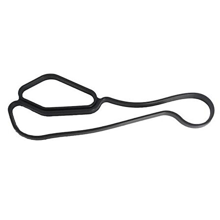 Vıctor Reınz 70-11405-0 Yağ Sogutucu Conta Bmw F30 N20 12>