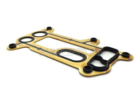 Vıctor Reınz 70-39384-0 Yağ Radyatör Contası Bmw N47 E87 E90 E60 E84 E82