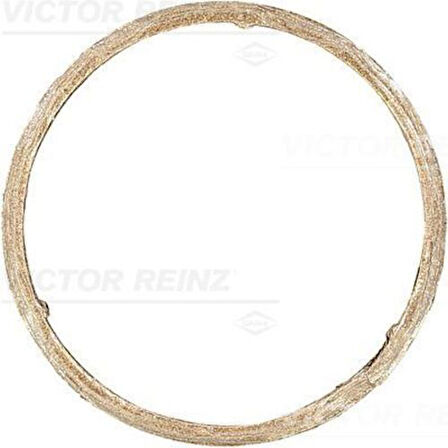 Vıctor Reınz 71-11399-0 Egzoz Bogaz Contası Bmw F20 F29