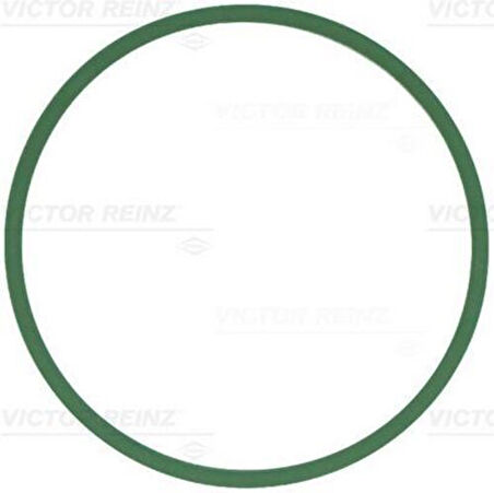 Vıctor Reınz 71-12439-0 Emme Manifold Contası Bmw B46 B48 B58 F20 F30 F80 G30 F90 B47